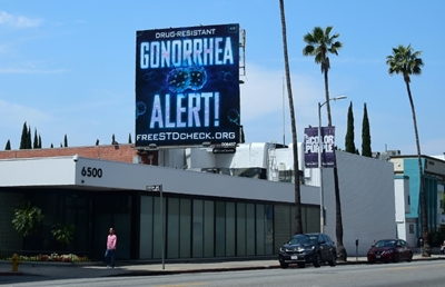California on front line as STDs run rampant in US