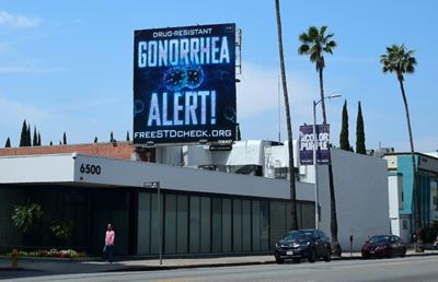 California on front line as STDs run rampant in US
