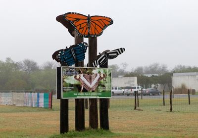 US judge rules against butterfly sanctuary opposed to Trump's wall 