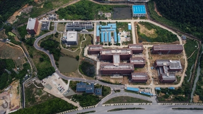 Chinese scientist at center of virus controversy denies lab leak theory