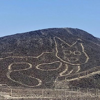 Peru Unveils Giant Cat Etching At Famous Nazca Site Suid Kaap Forum