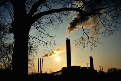 OECD lowers global growth forecast over trade tensions