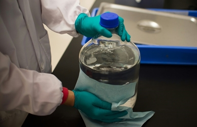 Science suffers collateral damage as US, China tensions rise