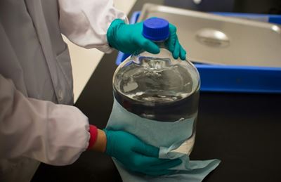 Science suffers collateral damage as US, China tensions rise