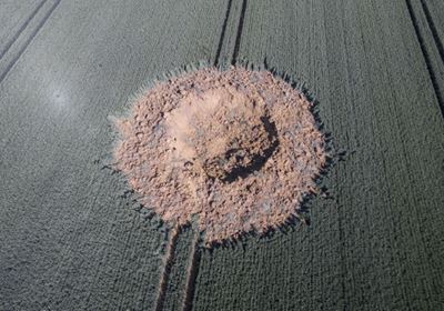 Suspected World War II bomb blasts crater in German field