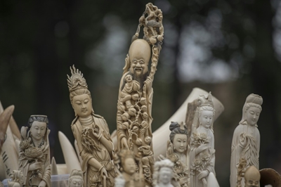 China seizes nearly 2,750 elephant tusks in huge bust