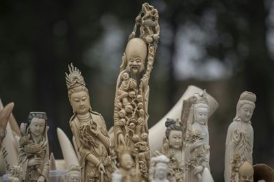 China seizes nearly 2,750 elephant tusks in huge bust