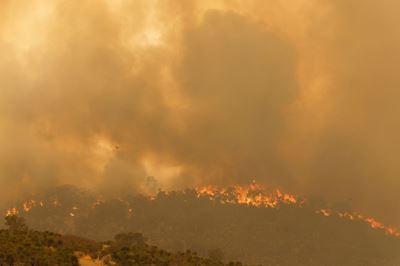 71 homes destroyed as Australia bushfire rages near locked-down Perth