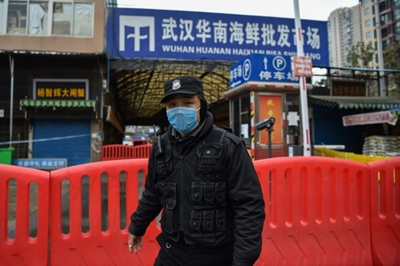 Ten key moments in the pandemic 