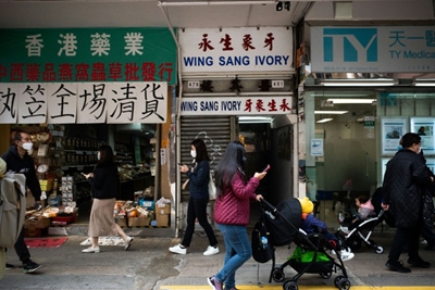 Hong Kong ban on ivory sales comes into force