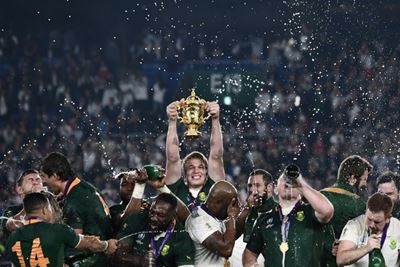 Springboks star Du Toit nearly lost leg after freak injury: doctor