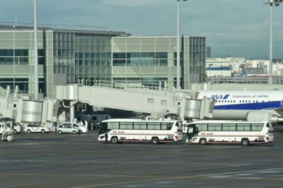 Plane carrying Japanese evacuees from Wuhan lands in Tokyo
