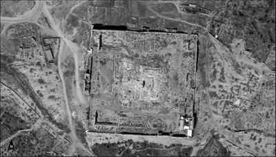 Israel releases spy satellite images of Syria's Palmyra