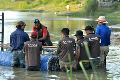 Aussie croc wrangler joins Indonesia bid to save tyre-tied reptile