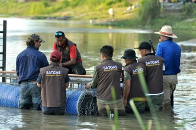 Aussie croc wrangler joins Indonesia bid to save tyre-tied reptile