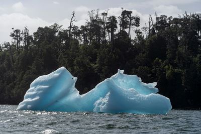 Melting glaciers, fast-disappering gauge of climate change