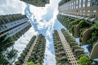 Welcome to the jungle: plants overrun Chinese apartment blocks