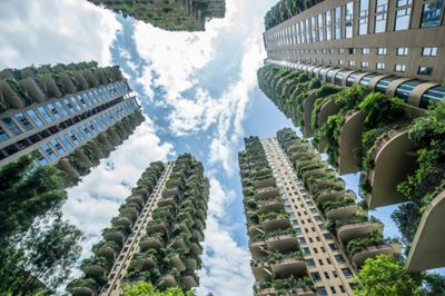 Welcome to the jungle: plants overrun Chinese apartment blocks