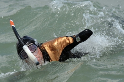 The many ways of crossing the English Channel