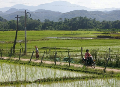 Myanmar women forced into marriage in China: Study