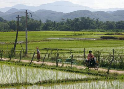 Myanmar women forced into marriage in China: Study