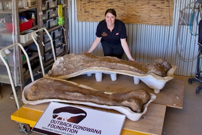 Australia's largest dinosaur identified as new species