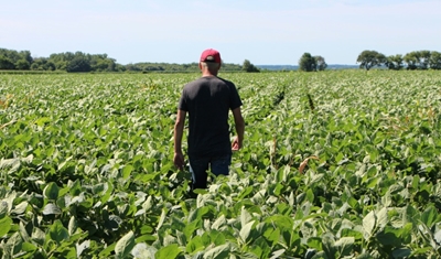 Trump claims a victory in China trade war, but US farmers want details 