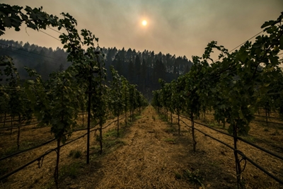 California wine country faces long battle as fire explodes