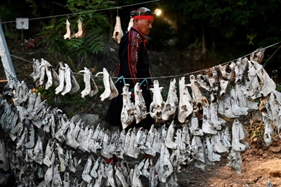Indigenous tribes hope Taiwan court will protect hunting traditions