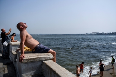 Melted asphalt, shoes for dogs: Europe wilts in heat