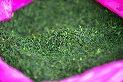 In Ethiopia, a rehab centre takes on khat addiction