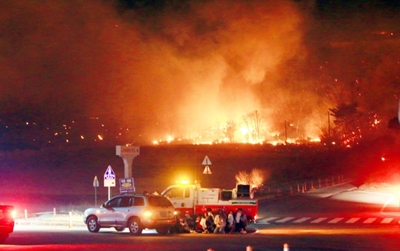 Seoul declares national disaster as winds fan giant forest fire