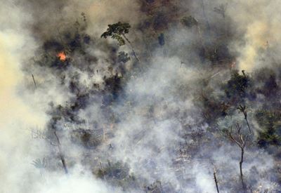 New fires rage in Amazon as Brazil warplanes battle flames