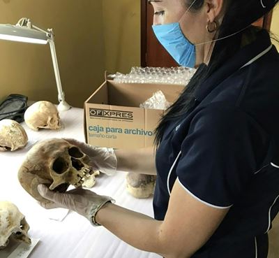 Skin-crawling discovery: 'body farm' scientists find corpses move