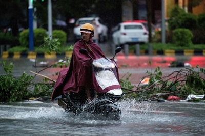 Massive clean-up in Hong Kong after typhoon chaos