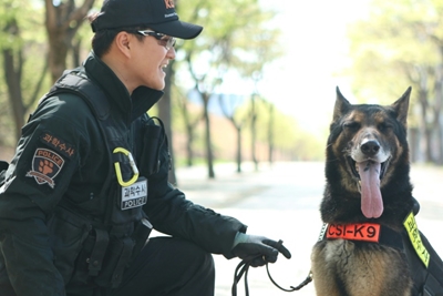 South Korea police to honour dead canine