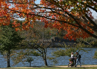 Births plunge to record lows in United States
