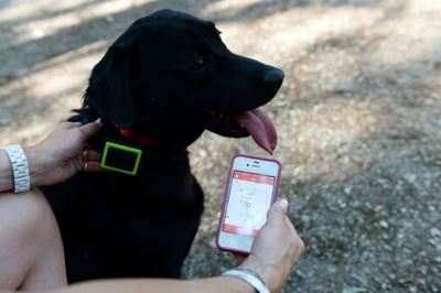 Mobile tech is going to the dogs... literally