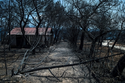 Greek wildfires death toll rises to 91