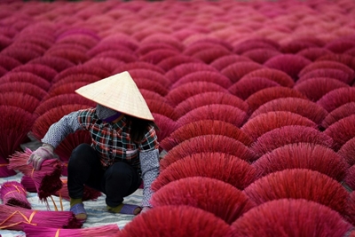 Vietnam's 'incense village' blazes pink ahead of lunar new year 