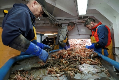UK fishermen angling for big catch post Brexit