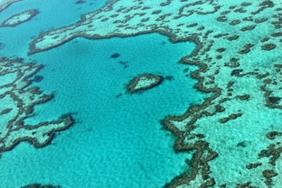 Great Barrier Reef agency breaks with Australia government in climate warning