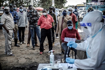 Virus could infect more than 200 mn in Africa: WHO modelling