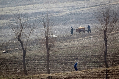North Korea facing 'harsh lean period': UN food body