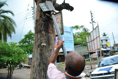 Green thumb spruces up Bangladesh one tree at a time