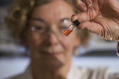 Scientists find 'world's oldest' biological colours