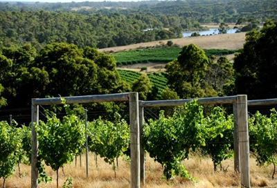 Seven found dead at Australian rural property 