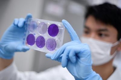 Full coronavirus vaccine unlikely by next year: expert