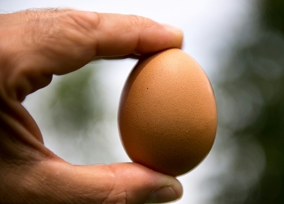 Kylie Jenner's Instagram record battered by an egg
