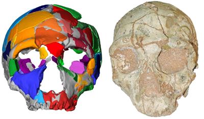 'Oldest remains' reset human migration clock